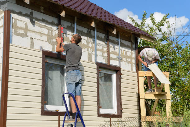 Best Steel Siding Installation  in Warroad, MN