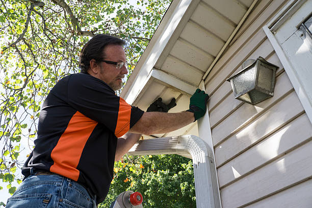 Best Insulated Siding Installation  in Warroad, MN